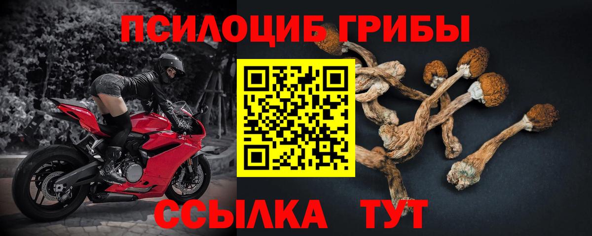 Галлюциногенные грибы мухоморы Строитель